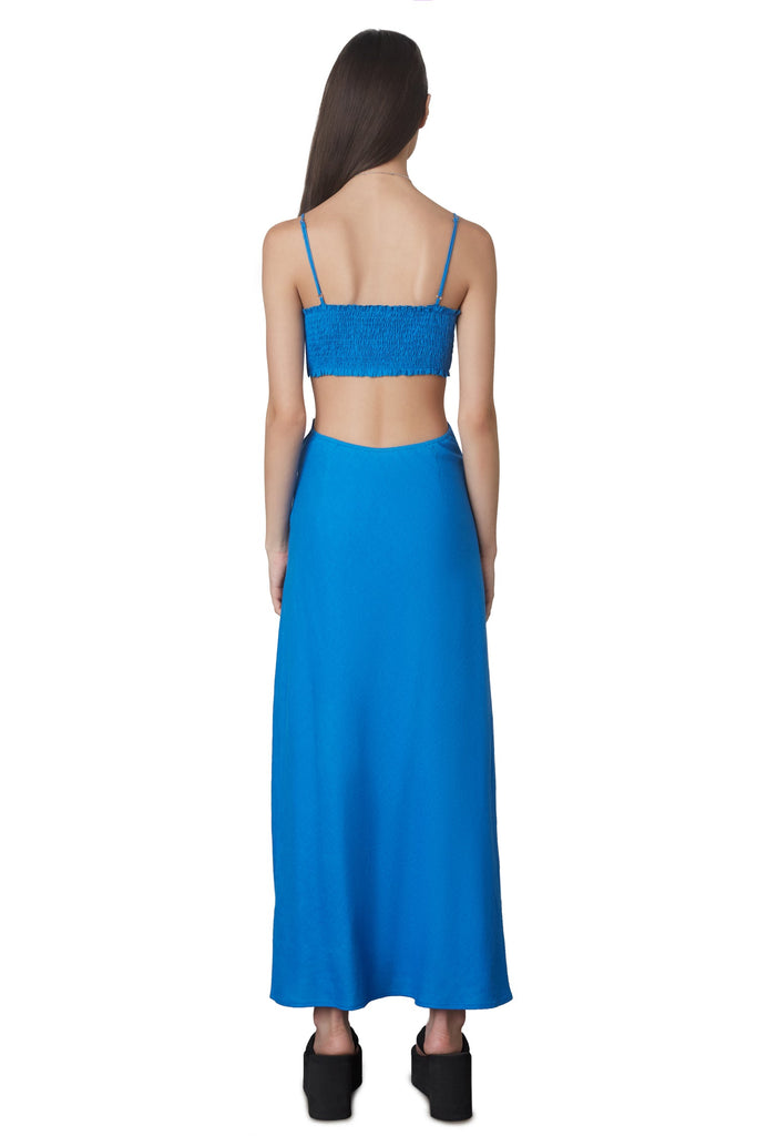 Back View - Cobalt Chamomile Dress